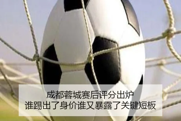 成都蓉城赛后评分出炉 谁踢出了身价谁又暴露了关键短板